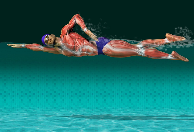 Crawl arm stretch