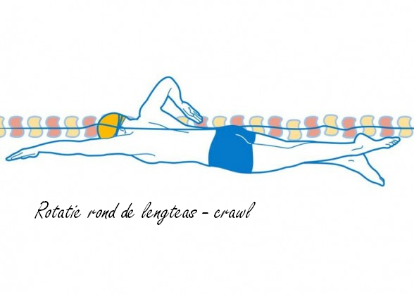 Crawl leren zwemmen 