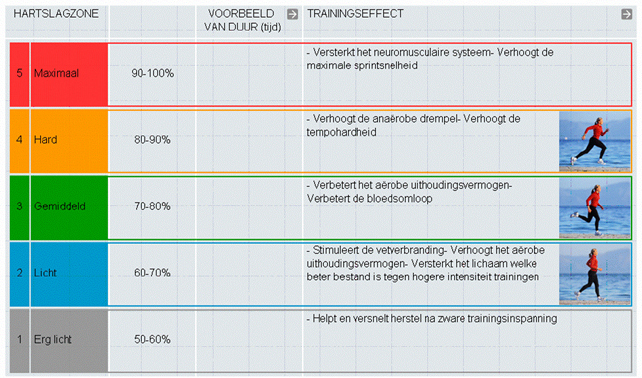hartslagzones effect - start to swim